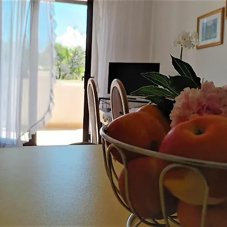 Dimic Appartement
