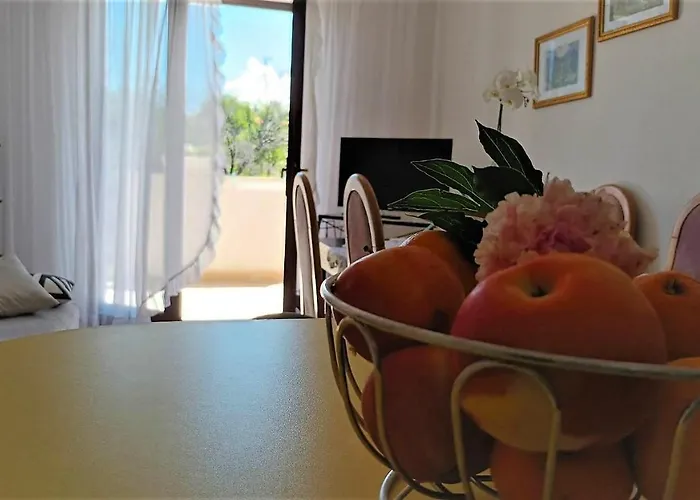 Dimic Διαμέρισμα